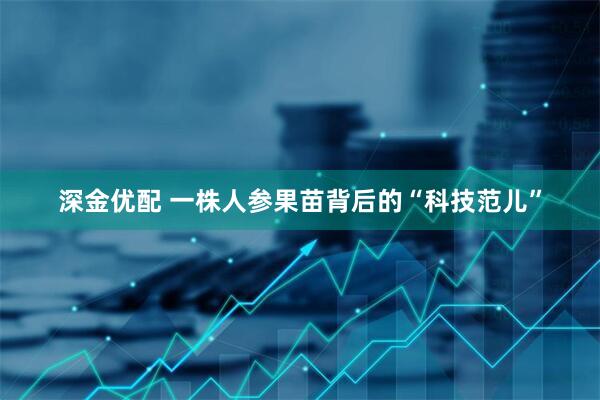 深金优配 一株人参果苗背后的“科技范儿”