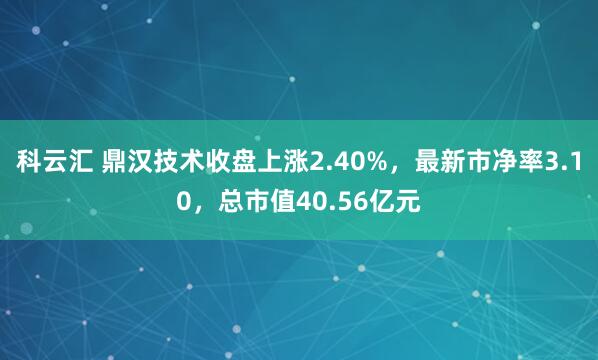 科云汇 鼎汉技术收盘上涨2.40%，最新市净率3.10，总市值40.56亿元