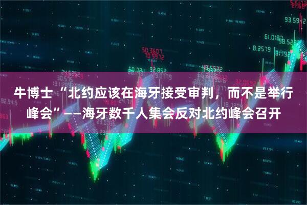 牛博士 “北约应该在海牙接受审判，而不是举行峰会”——海牙数千人集会反对北约峰会召开