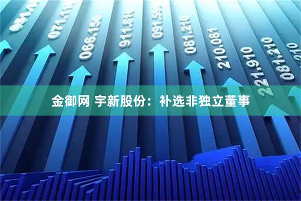 金御网 宇新股份：补选非独立董事