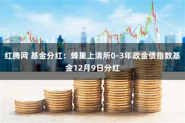 红腾网 基金分红：蜂巢上清所0-3年政金债指数基金12月9日分红