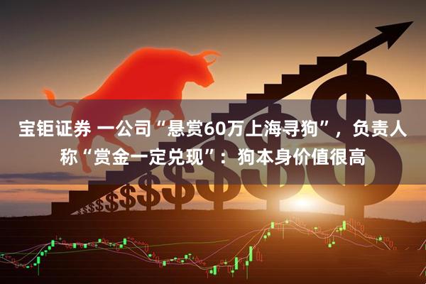 宝钜证券 一公司“悬赏60万上海寻狗”，负责人称“赏金一定兑现”：狗本身价值很高